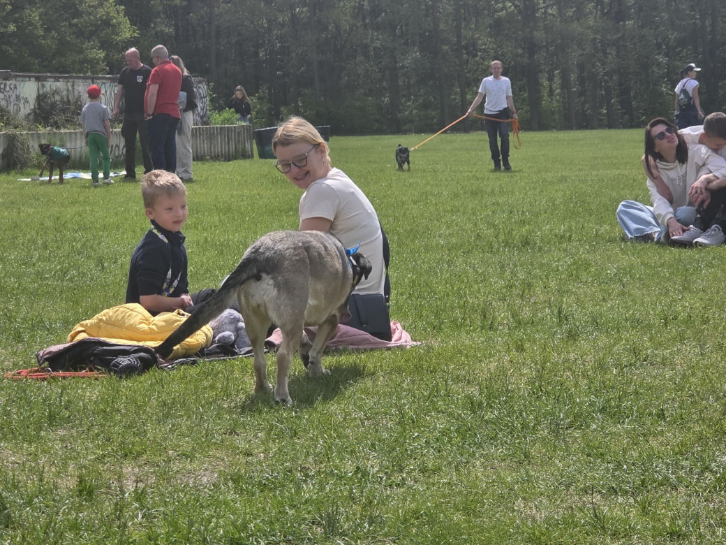 Psie święto w Myślęcinku. Za nami Piknik Dobrych Psów i Ludzi!