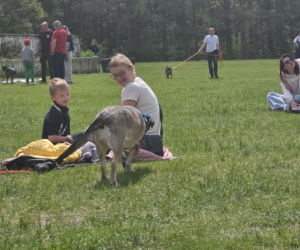 Psie święto w Myślęcinku. Za nami Piknik Dobrych Psów i Ludzi!