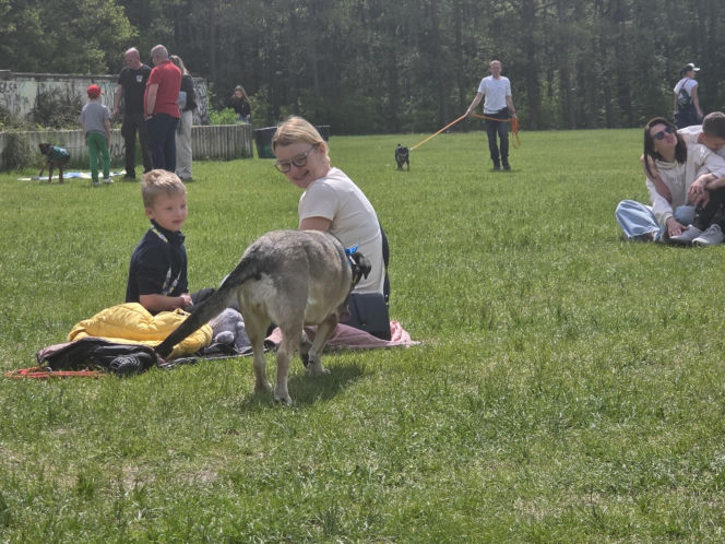 Psie święto w Myślęcinku. Za nami Piknik Dobrych Psów i Ludzi!