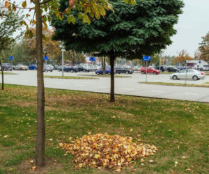 Nowy parking ekologiczny