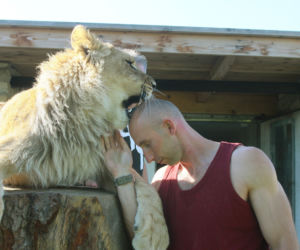 Lew Simba