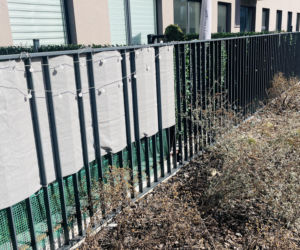 Katowice, osiedle mieszkań na wynajem przy Korczaka