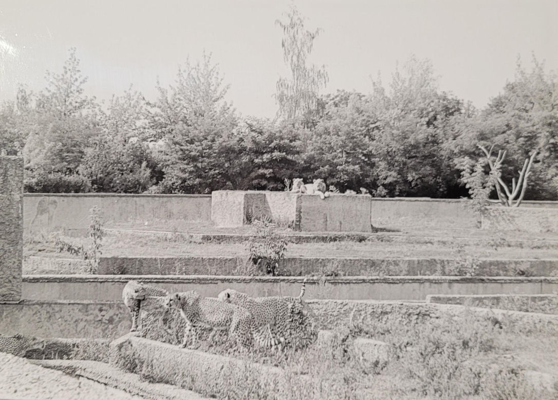 Łódzkie zoo w latach 70.
