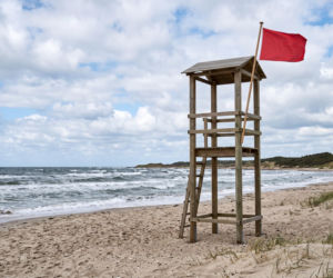 Sinice Chałupy. Czy można się kąpać w Chałupach 09.07? Flaga, warunki pogodowe