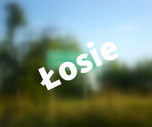 Łosie