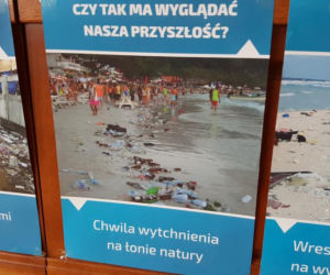 Ekologia po bydgosku. Uczniowie mają pomysł, jak dbać o środowisko