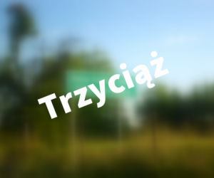 Trzyciąż