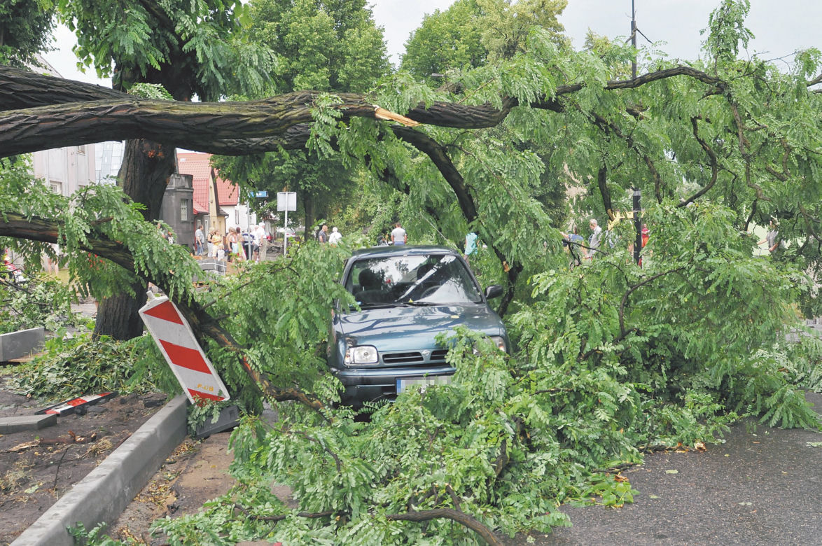 Boisz się o auto? Jest sposób na wichury!