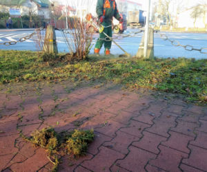 W tym roku zima nie zaskoczy drogowców! Wyjechali na drogi… KOSIARKAMI