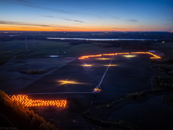 Przymrozki w winnicy - podgrzewanie winorośli