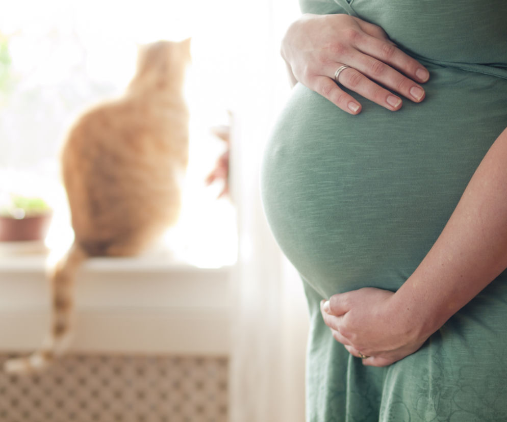 Co z kotem czy psem, gdy jesteś w ciąży? Zwierzęta domowe a dziecko