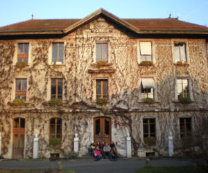 Pnacza w architekturze krajobrazu