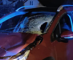 Śmiertelny wypadek pod Zamościem! Kobieta z peugeota wjechała w 69-latka [ZDJĘCIA]