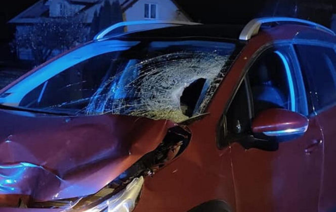 Śmiertelny wypadek pod Zamościem! Kobieta z peugeota wjechała w 69-latka [ZDJĘCIA]