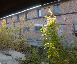Pozostałości dawnego dworca kolejowego Bhf. Pommerensdorf na Pomorzanach
