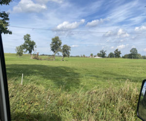 Bitwa o Polanę Ukciańską nad Krutynią