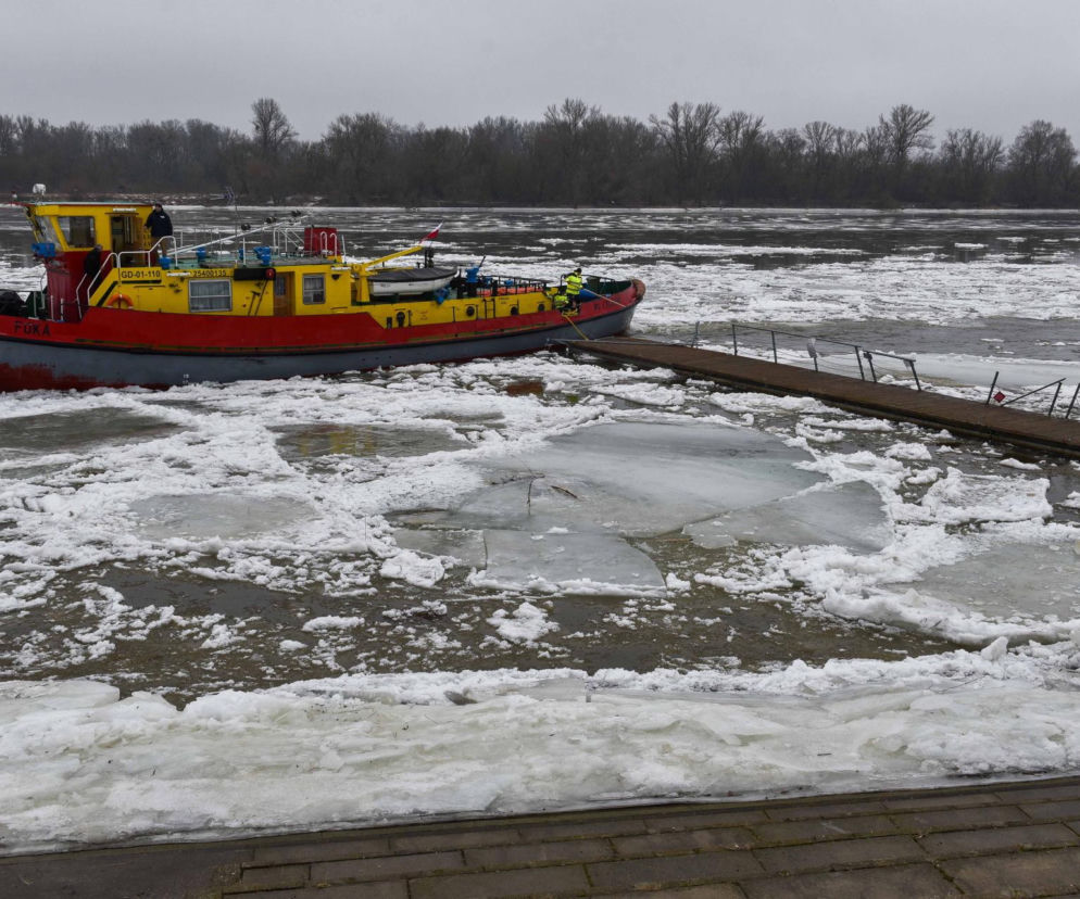 Tygrys, Rekin, Orka i Foka dotarły do Torunia. Tak szeroko zakrojonej akcji nie prowadzono od lat [GALERIA]