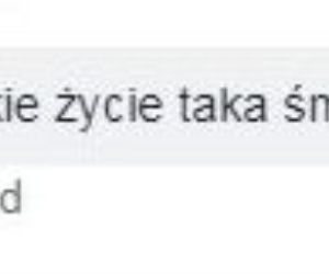 Hejt na Kornela Morawieckiego
