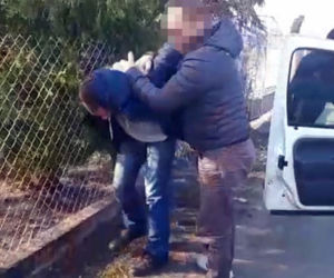 Policja zlikwidowała plantację marihuany