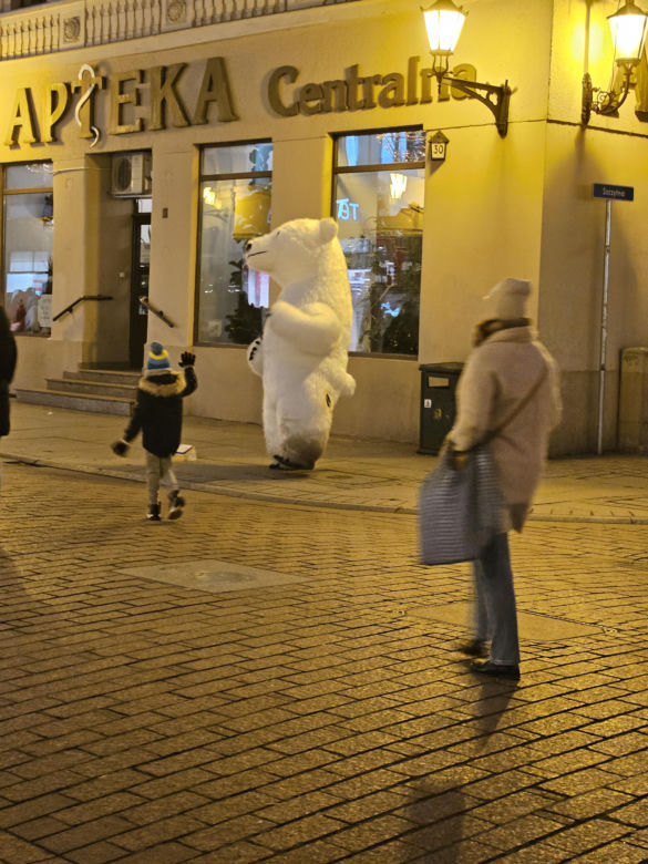 Biały Miś na toruńskiej starówce