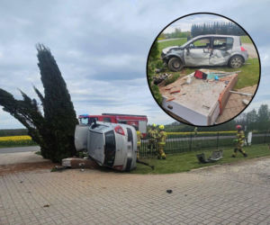 Grożny wypadek pod Płockiem. Auto roztrzaskane, kierowca w szpitalu