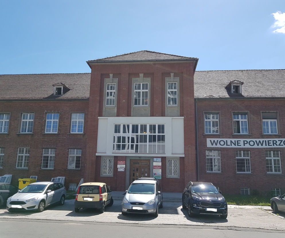 Gorzów: Stilon