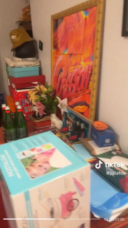 Dramat seksownej aktorki! Inwazja dzikich myszy w domu Julii Fox!