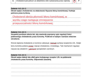 Matura 2022: biologia rozszerzona. Arkusze CKE, zadania, pytania. Poziom rozszerzony