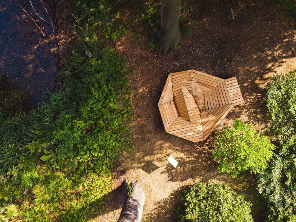 Mood for Wood 2020 – wiosenna edycja warsztatów. Zapisy