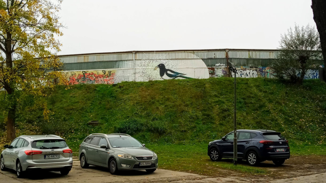 Sroka na szczecińskim torze kolarskim
