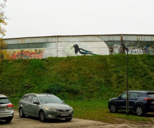 Sroka na szczecińskim torze kolarskim