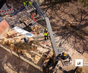 Nowe nasadzenia na Pl. Orła Białego