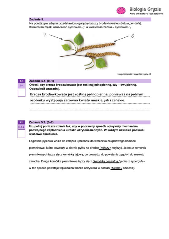 Odpowiedzi próbnej matury z biologii rozszerzonej 2024