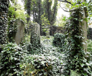 Cmentarz żydowski w Katowicach