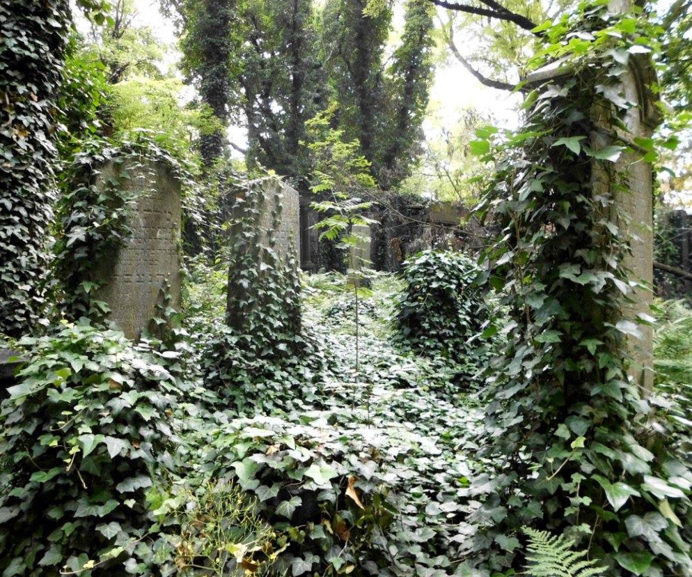 Cmentarz żydowski w Katowicach