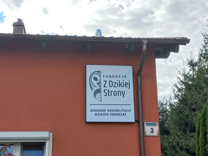 Dniami i nocami ratują dzikie zwierzęta. Niezwykłe miejsce w Spytkówkach w powiecie kościańskim