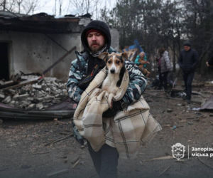 Atak dronów na schronisko dla zwierząt! Tragedia w Zaporożu