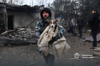 Atak dronów na schronisko dla zwierząt! Tragedia w Zaporożu