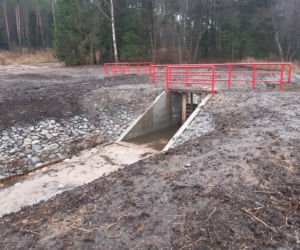 Na Warmii powstaje ptasie El Dorado. Sztuczne wyspy przyciągną rybitwy [ZDJĘCIA]