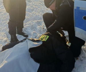 Mrożąca krew w żyłach interwencja. Uratowali psa przymarzniętego do drogi