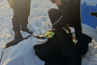 Mrożąca krew w żyłach interwencja. Uratowali psa przymarzniętego do drogi