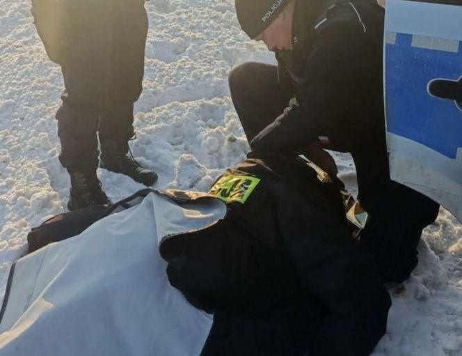 Mrożąca krew w żyłach interwencja. Uratowali psa przymarzniętego do drogi