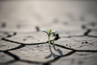 Michał walczy z nowotworem. Co może uratować 17-latka?