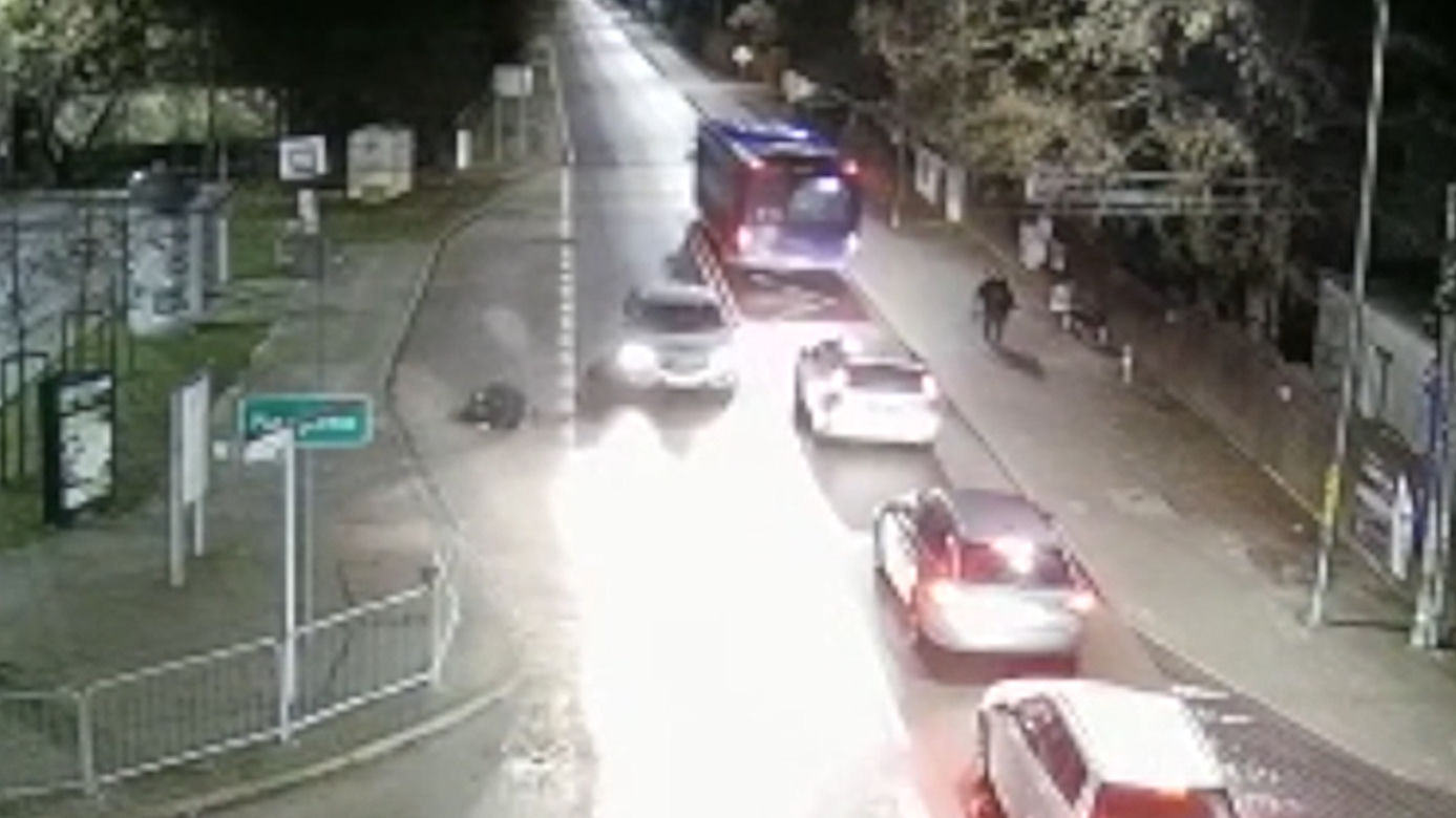 Chłopiec wbiegł zza autobusu prosto pod samochód. Dramatyczne nagranie z Piaseczna
