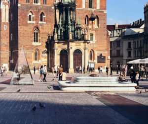 Praca biura DDJM