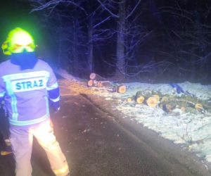 Śnieg przewrócił drzewo i zerwał linię energetyczną
