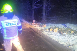 Śnieg przewrócił drzewo i zerwał linię energetyczną