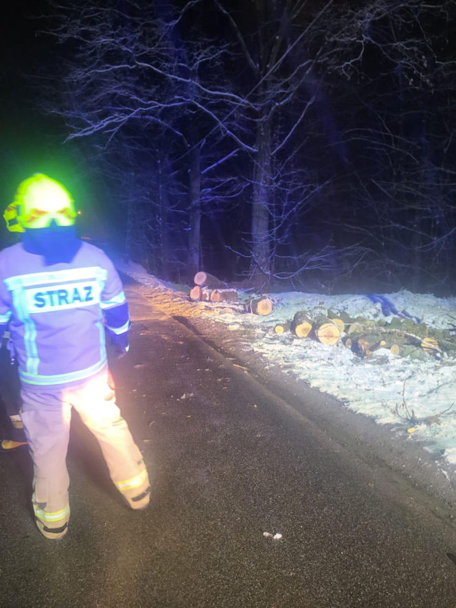 Śnieg przewrócił drzewo i zerwał linię energetyczną