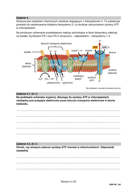 Matura 2022: biologia rozszerzona. Arkusze CKE, zadania, pytania. Poziom rozszerzony