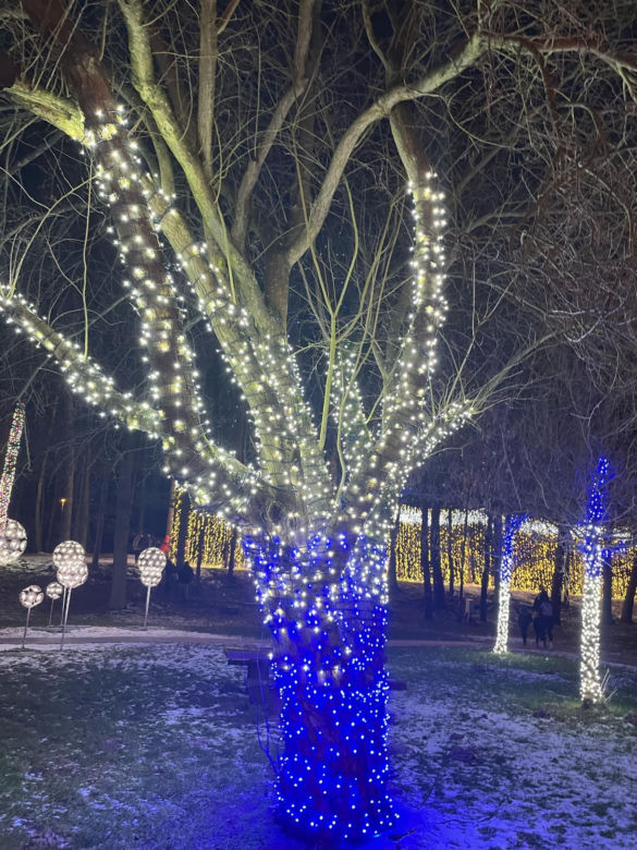 Garden of Lights w Szczecinie
